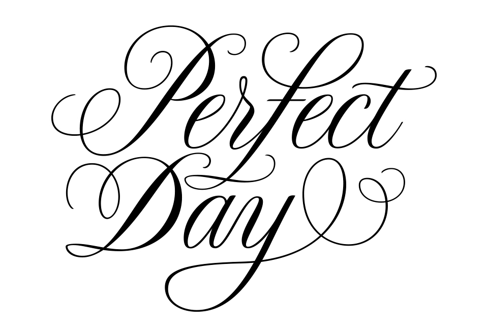 Perfect Day